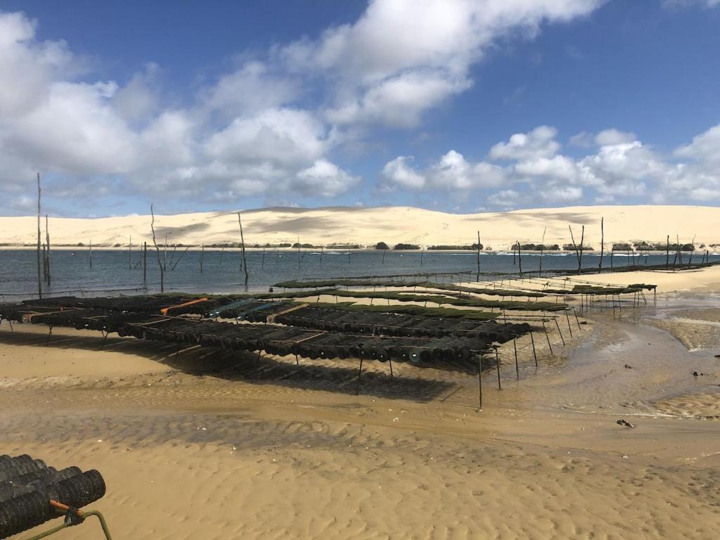 לה-טסט-דה-בוש Ville Les Flots Bleus Proche Golf Arcachon מראה חיצוני תמונה