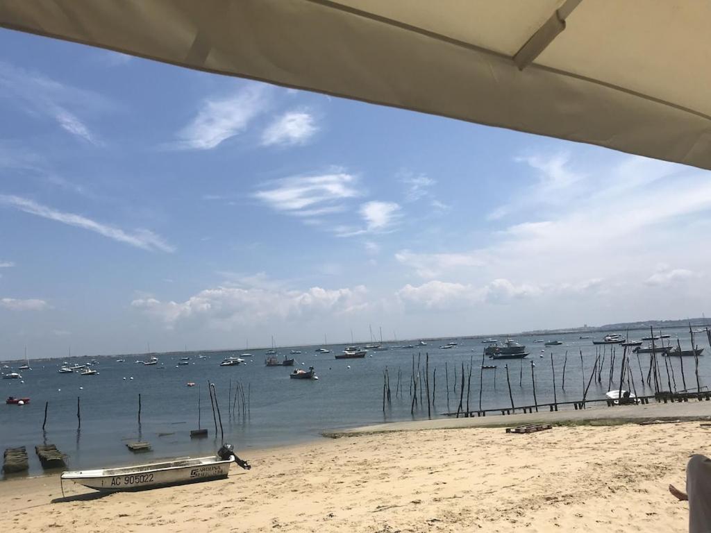 לה-טסט-דה-בוש Ville Les Flots Bleus Proche Golf Arcachon מראה חיצוני תמונה